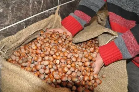 Son dakika haber... Başkan Güler'den Bakan Pakdemirli'ye 'süre uzatım' teşekkürü
