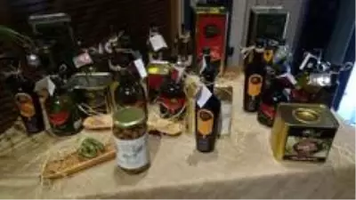 (BALIKESİR - Özel) Zeytinyağı alırken meyve kokusuna dikkat edin (BALIKESİR - Özel) Zeytinyağı alırken meyve kokusuna dikkat edin