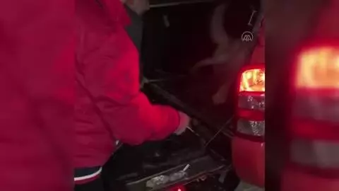AFYONKARAHİSAR - Dinar Kaymakamı Kapankaya, kara yolundaki yaralı köpeğe yardım etti