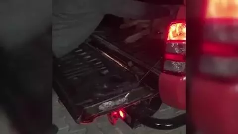 AFYONKARAHİSAR - Dinar Kaymakamı Kapankaya, kara yolundaki yaralı köpeğe yardım etti