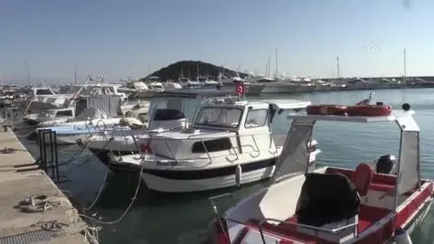 Antalyalı balıkçılar, 'balon balığı kuyruk alımına' ilgi gösteriyor Antalyalı balıkçılar, 'balon balığı kuyruk alımına' ilgi gösteriyor