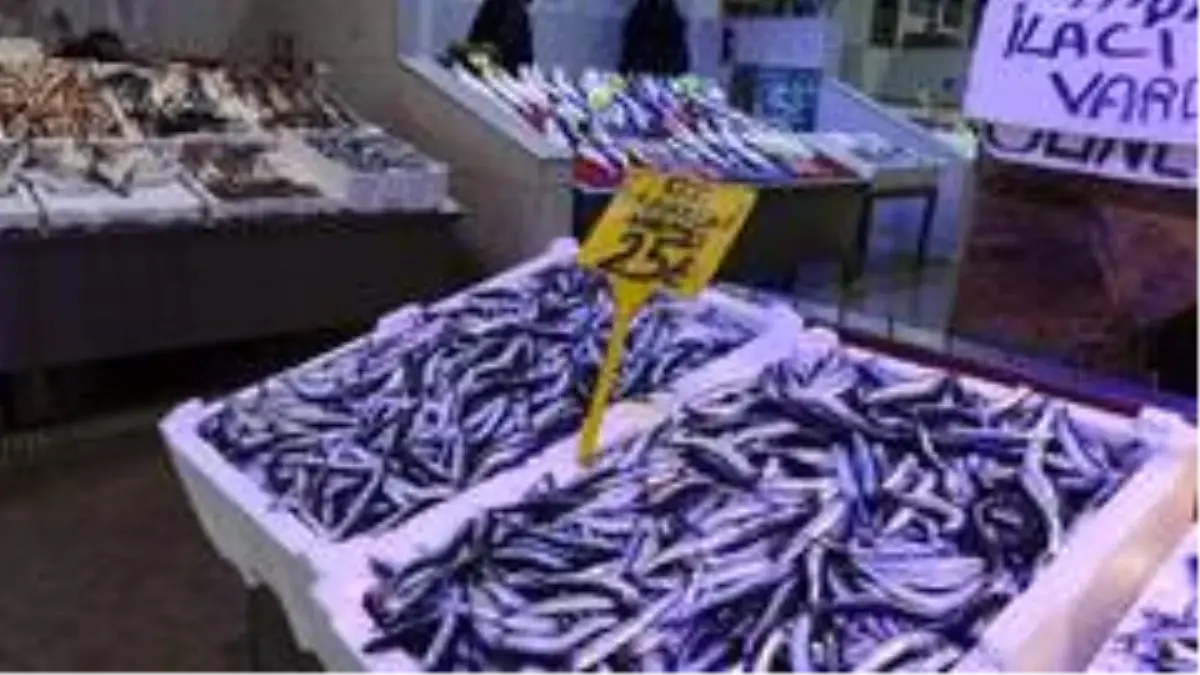 Hamsi fiyatıyla şaşırtmaya devam ediyor