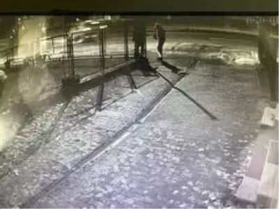 Ortalığın savaş alanına döndüğü feci kaza kamerada...Önce otomobile, sonra refüjdeki ağaca ve aydınlatma direğine çarpıp metrelerce sürüklendi Ortalığın savaş alanına döndüğü feci kaza kamerada...Önce otomobile, sonra refüjdeki ağaca ve aydınlatma direğine çarpıp metrelerce sürüklendi
