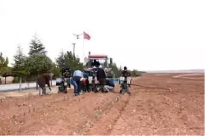 Konya, lavantanın merkezi olacak Konya, lavantanın merkezi olacak