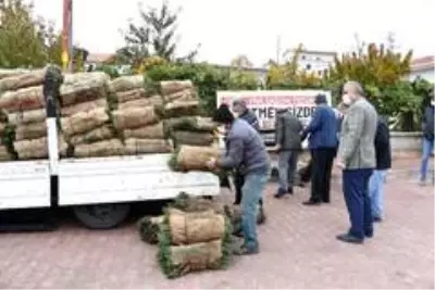 Konya, lavantanın merkezi olacak Konya, lavantanın merkezi olacak