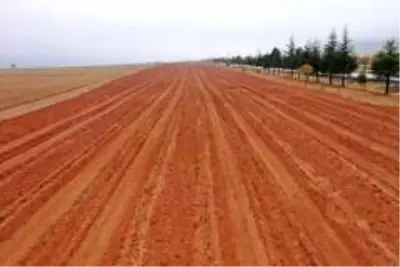 Konya, lavantanın merkezi olacak Konya, lavantanın merkezi olacak