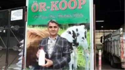 ÖRKOOP Başkanı Önal: 'Süte 50 kuruş zam geldi, ama yemciler duymasın' ÖRKOOP Başkanı Önal: 'Süte 50 kuruş zam geldi, ama yemciler duymasın'