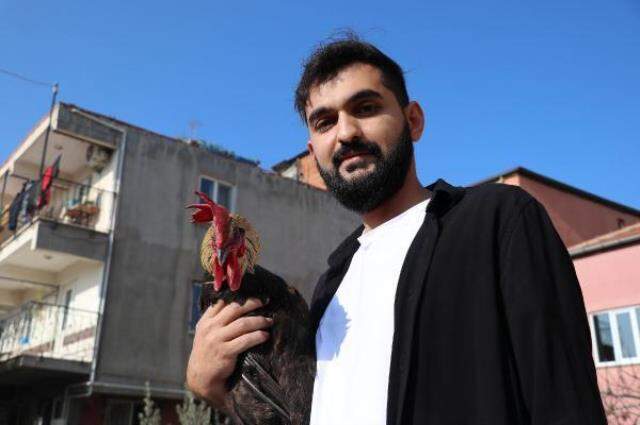 Öterken bayılan Denizli horozu için 25 bin lira değerinde otomobil teklif edildi