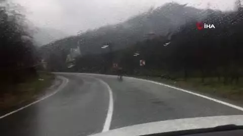 Rize'de ahırdan kaçan inek sahibine zor anlar yaşattı Rize'de ahırdan kaçan inek sahibine zor anlar yaşattı