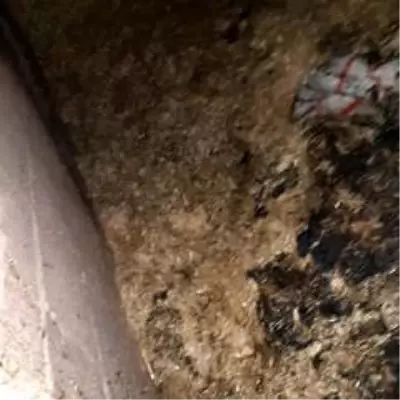 Samandağ'da saman yangını Samandağ'da saman yangını