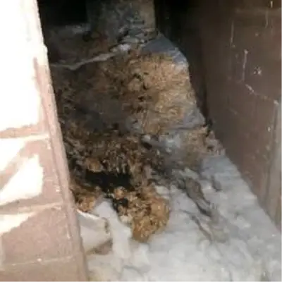 Samandağ'da saman yangını Samandağ'da saman yangını