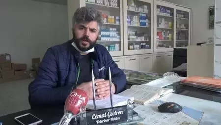 Tarlaya bırakılan gübreyi yiyen hayvanlarının yarısı öldü Tarlaya bırakılan gübreyi yiyen hayvanlarının yarısı öldü