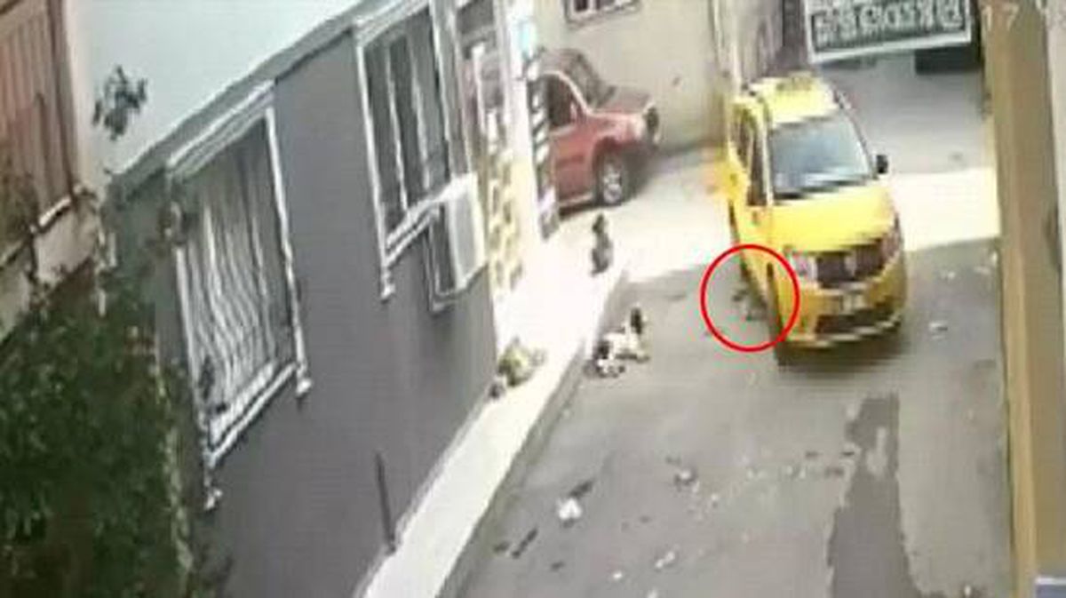 Yavru köpeği ezen taksi şoförü arkasına bile bakmadan gitti! O anlar kamerada