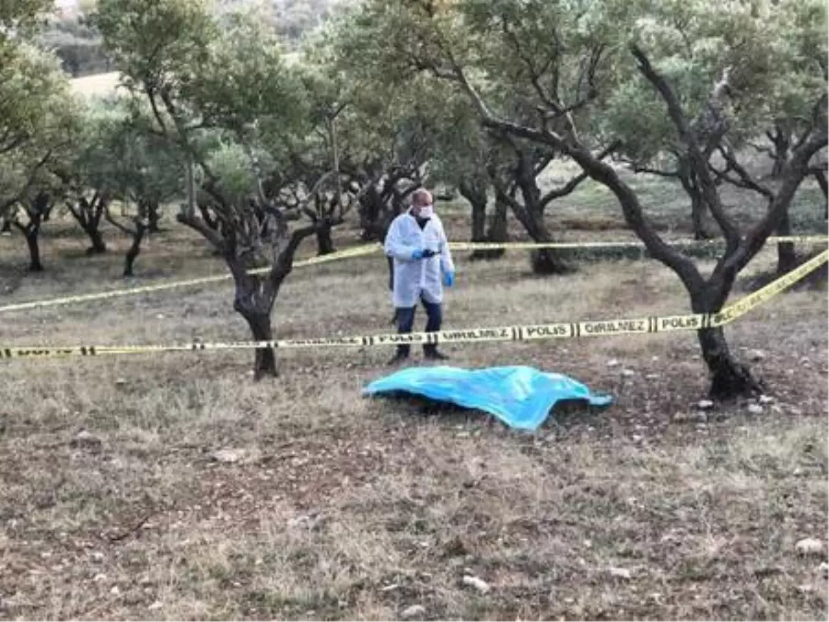 Zeytinlikte tabancyala intihar etti