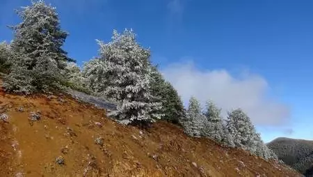 Zigana Dağı'nda kar başladı, seyirlik manzara oluştu Zigana Dağı'nda kar başladı, seyirlik manzara oluştu