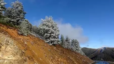 Zigana Dağı'nda kar başladı, seyirlik manzara oluştu Zigana Dağı'nda kar başladı, seyirlik manzara oluştu