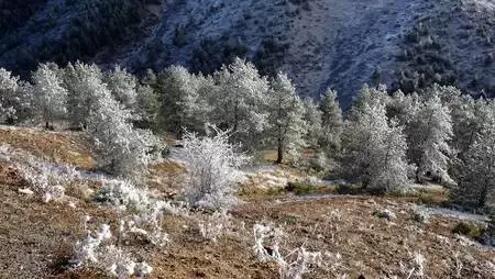 Zigana Dağı'nda kar başladı, seyirlik manzara oluştu Zigana Dağı'nda kar başladı, seyirlik manzara oluştu