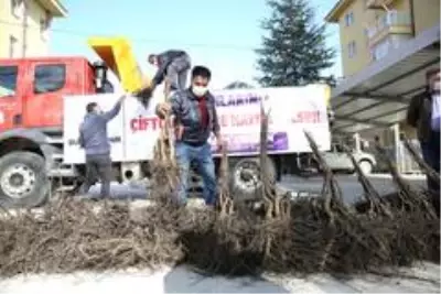 3 yılda 340 bin ceviz fidanı toprakla buluşacak 3 yılda 340 bin ceviz fidanı toprakla buluşacak