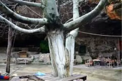 30 yıldır mağarada yaşıyor 30 yıldır mağarada yaşıyor