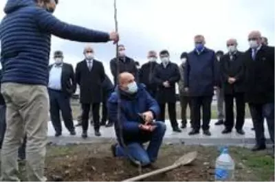 Bafra'da üreticilere 2 bin 500 ceviz fidanı dağıtıldı Bafra'da üreticilere 2 bin 500 ceviz fidanı dağıtıldı