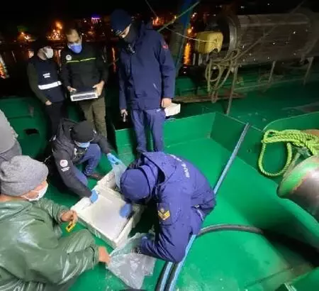 Boy sınırı altındaki 20 ton hamsiye el konuldu Boy sınırı altındaki 20 ton hamsiye el konuldu