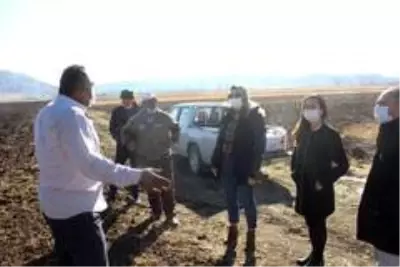 Antalya Büyükşehir Belediyesi'nden çiftçiye tohum desteği Antalya Büyükşehir Belediyesi'nden çiftçiye tohum desteği