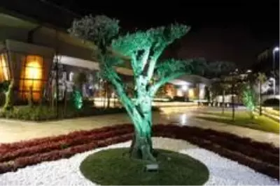 Çevre ve Şehircilik Bakanı Murat Kurum: 'Kanal İstanbul projesini hayata geçiriyoruz' Çevre ve Şehircilik Bakanı Murat Kurum: 'Kanal İstanbul projesini hayata geçiriyoruz'