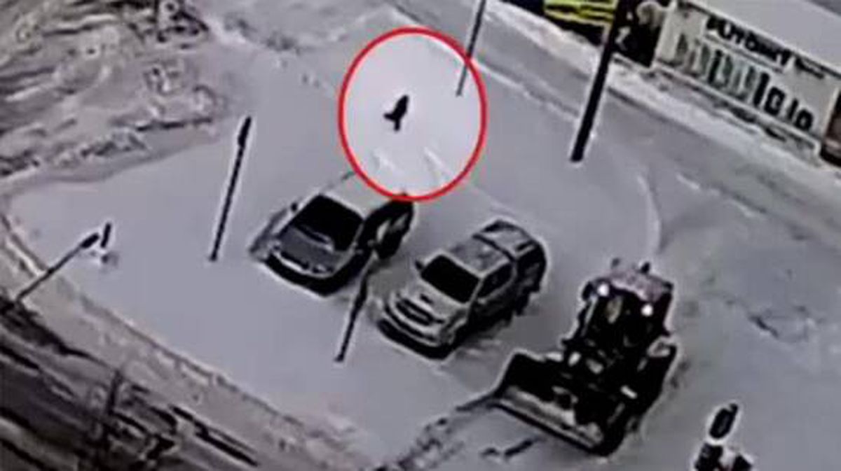 Kar temizleme aracı, geri manevra yaparken 8 yaşındaki çocuğu ezdi