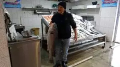 Karadeniz'de Kötek bereketi Karadeniz'de Kötek bereketi