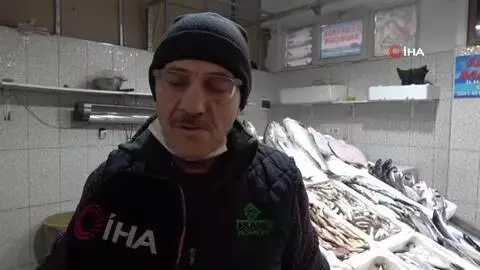 Karadeniz'de Kötek bereketi Karadeniz'de Kötek bereketi