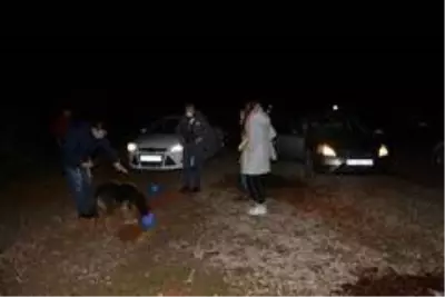 Ormana terk edilen sokak köpeklerini beslemek için kilometrelerce yol gidiyorlar