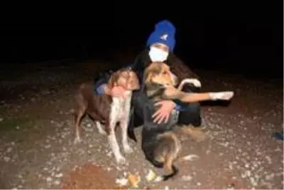 Ormana terk edilen sokak köpeklerini beslemek için kilometrelerce yol gidiyorlar