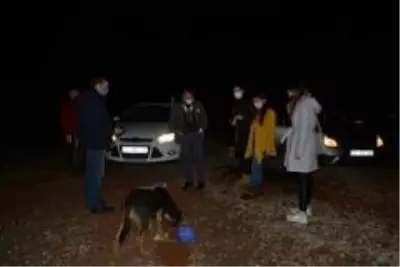 Ormana terk edilen sokak köpeklerini beslemek için kilometrelerce yol gidiyorlar