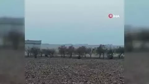 SMO, Suriye'nin kuzeyindeki iki köyü YPG/PKK'dan kurtardı SMO, Suriye'nin kuzeyindeki iki köyü YPG/PKK'dan kurtardı