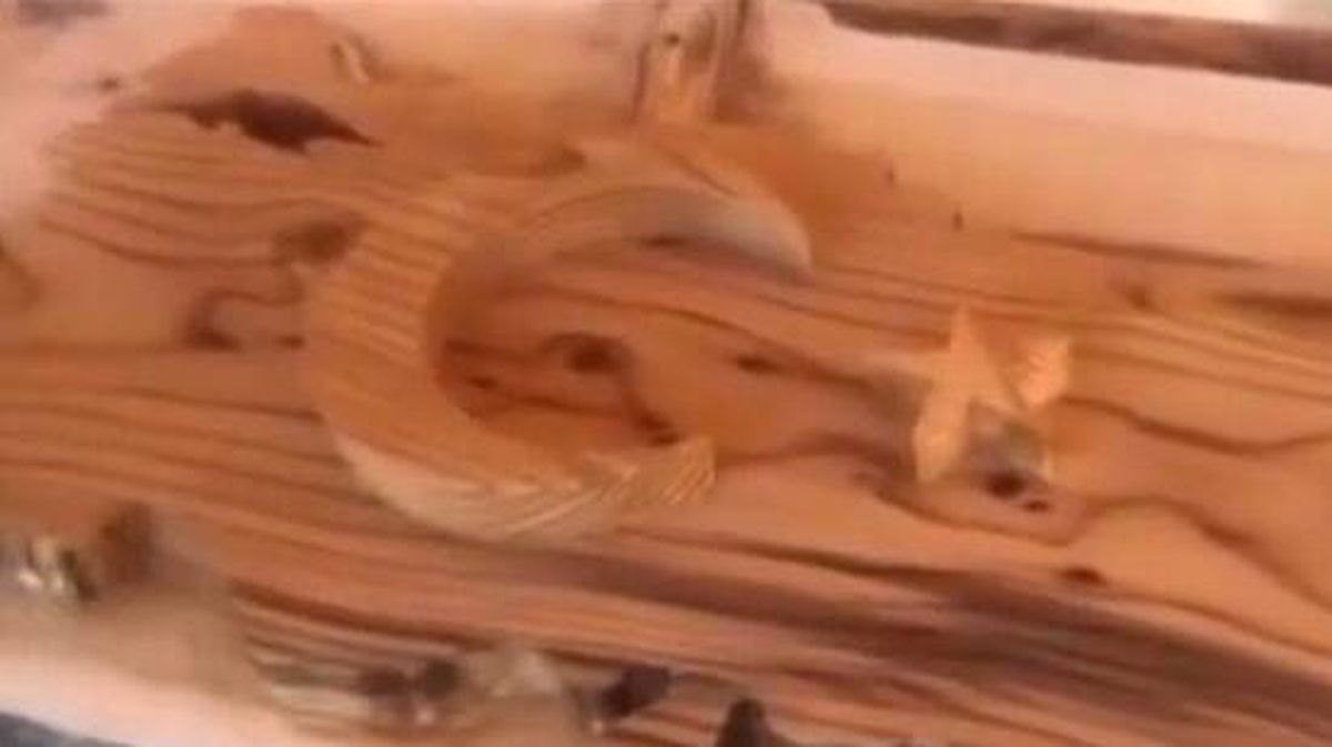Ağaç kütüklerini sanat eserine çevirip Türkiye'nin dört bir yanına satıyor