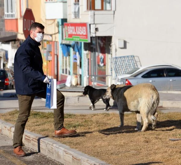 Erzurumlu gençler, sokak hayvanları için yiyecek bıraktı