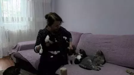 BEYLİKDÜZÜ'NDE EVİNDE 30, BAHÇE VE YOLLARDA 170 KEDİYE BAKIYOR