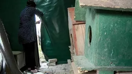 BEYLİKDÜZÜ'NDE EVİNDE 30, BAHÇE VE YOLLARDA 170 KEDİYE BAKIYOR