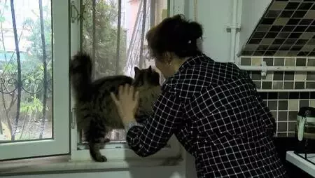 BEYLİKDÜZÜ'NDE EVİNDE 30, BAHÇE VE YOLLARDA 170 KEDİYE BAKIYOR