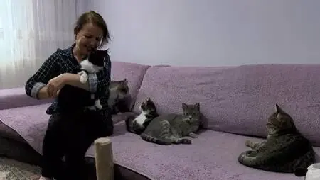 BEYLİKDÜZÜ'NDE EVİNDE 30, BAHÇE VE YOLLARDA 170 KEDİYE BAKIYOR