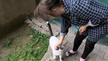 BEYLİKDÜZÜ'NDE EVİNDE 30, BAHÇE VE YOLLARDA 170 KEDİYE BAKIYOR