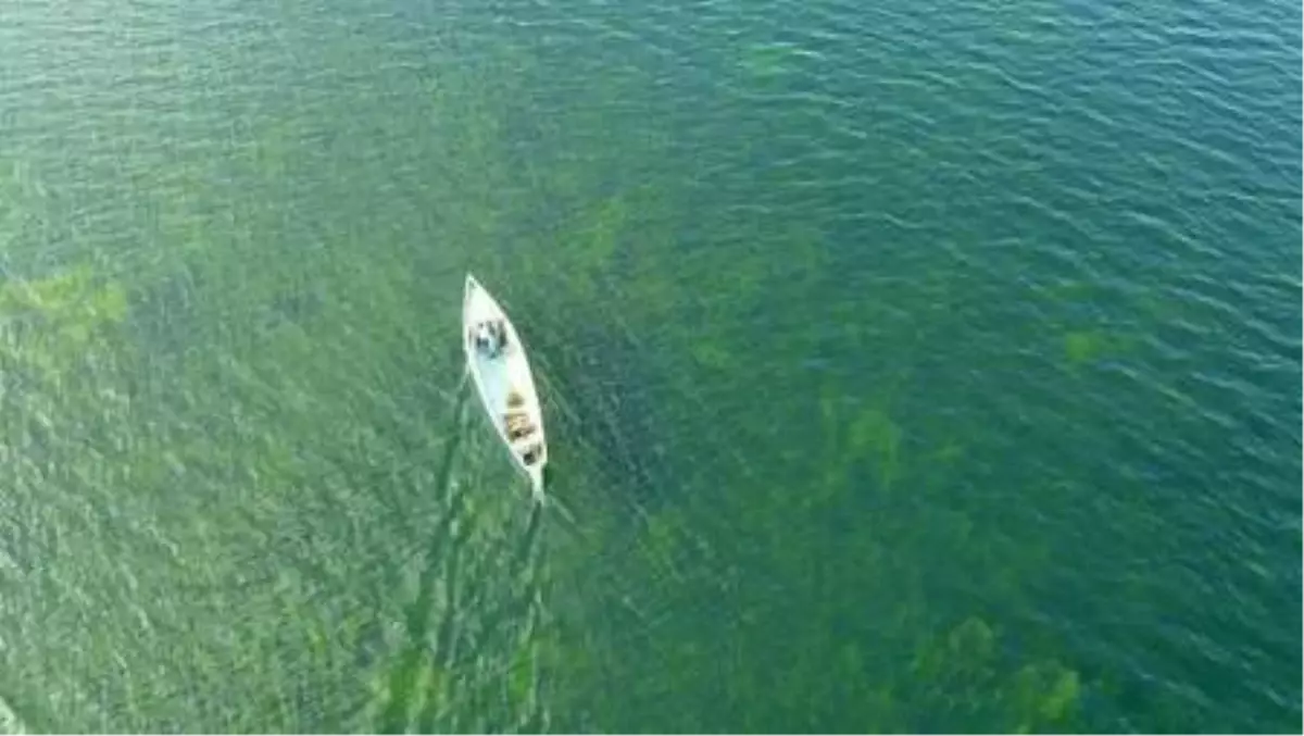 Beyşehir Gölü'nde balıkçılar, kısıtlamada da avlanmaya devam etti