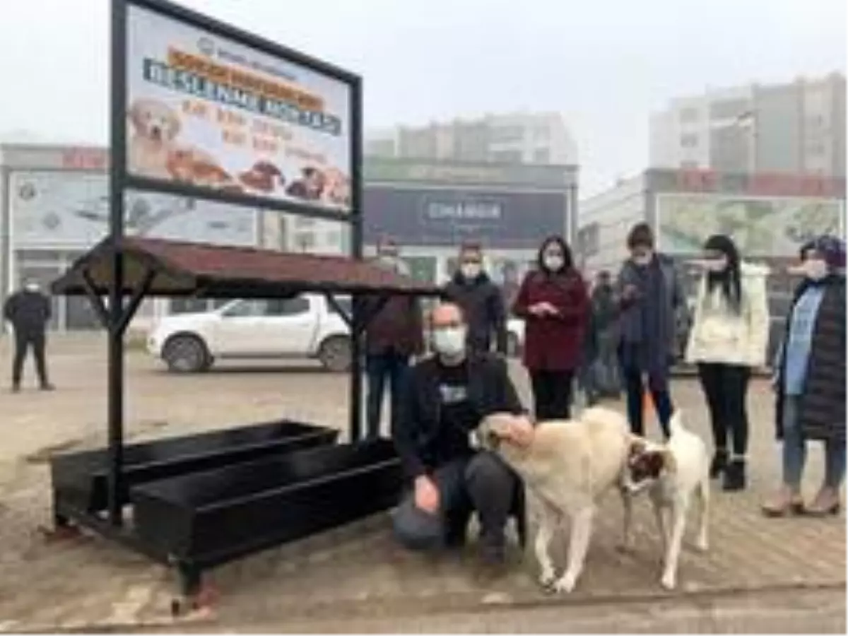 Bismil Belediyesi sokak hayvanlarını yalnız bırakmadı