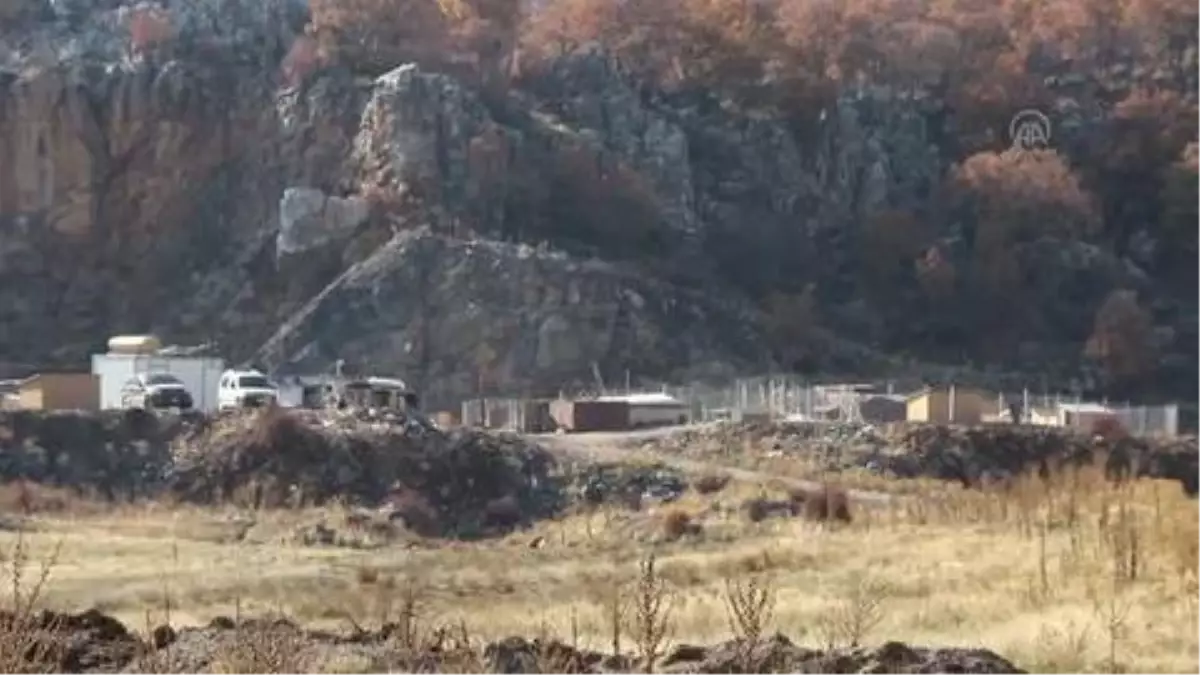 'Evlatlarım' dediği sokak köpeklerine, açtığı barınağında bakıyor