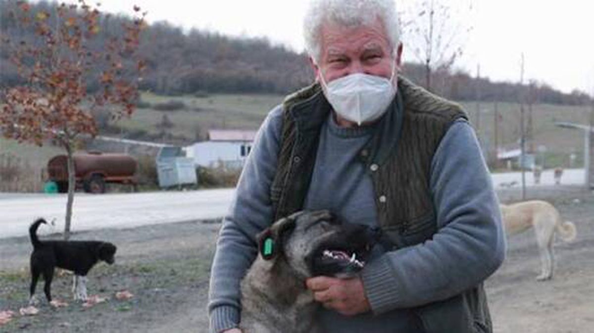 Kendini sokak hayvanlarına adayan emekli öğretmen, 71 yaşında veterinerlik okudu