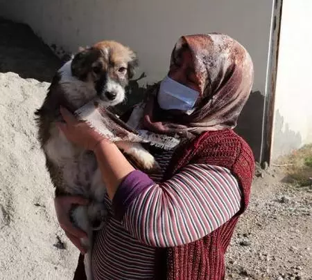 Kısıtlamaya rağmen sokak hayvanlarının bakımını aksatmıyorlar Kısıtlamaya rağmen sokak hayvanlarının bakımını aksatmıyorlar