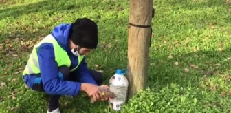 Yabancı uyruklu öğrenciler sokak hayvanlarını besledi