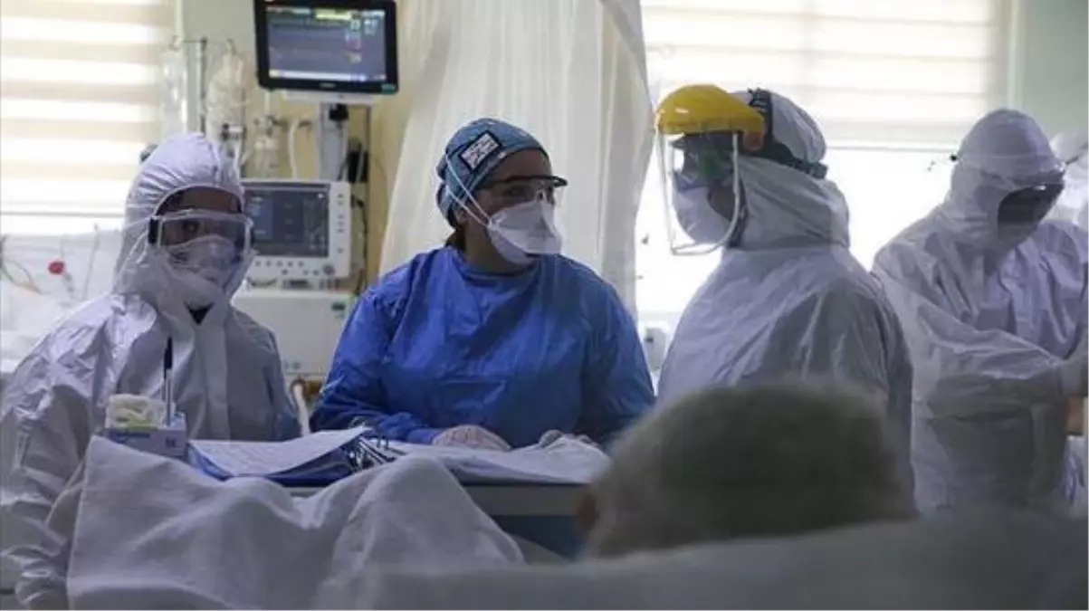 Bilim Kurulu üyesi Prof. Dr. Hasöksüz: Türkiye'de koronavirüs mutasyonu saptanmadı