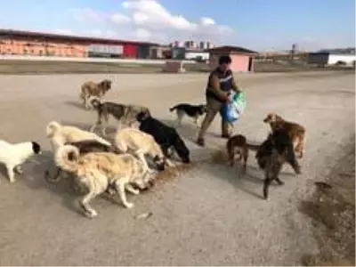 Kırıkkale Belediyesi, kısıtlama günlerinde çalışmalarına devam etti
