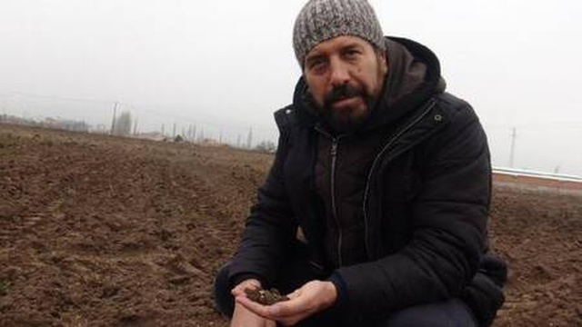 Sındırgı'ya karakılçık buğdayı ekildi